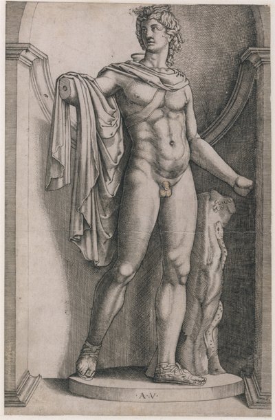 Speculum Romanae Magnificentiae : Apollon du Belvédère, vers 1514-36 - Agostino Veneziano