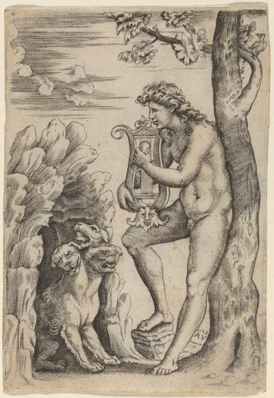 Orphée - Agostino dei Musi