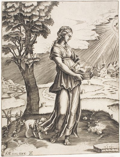 La Sibylle de Cumes - Agostino dei Musi