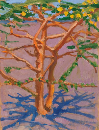 Acacia dans la savane - Akseli Gallen-Kallela