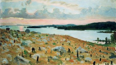 Forêt déboisée au bord du lac Kallavesi - Akseli Valdemar Gallen Kallela