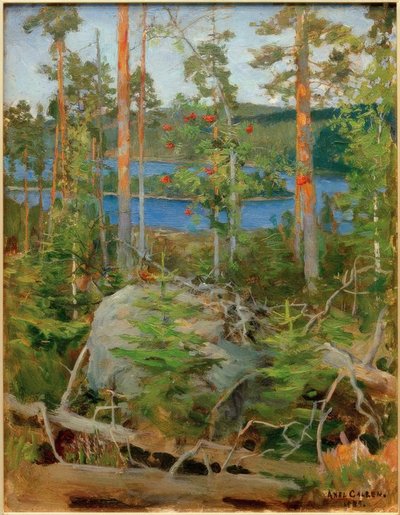 Vue sur le lac Jamajärvi - Akseli Valdemar Gallen Kallela