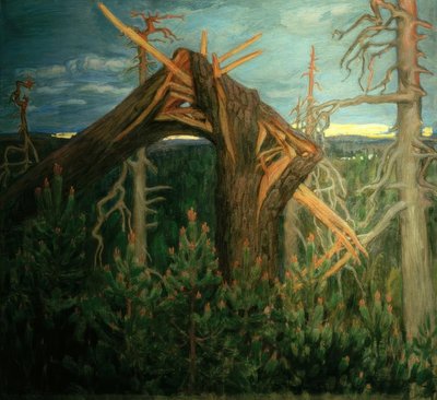 La mâchoire cassée - Akseli Valdemar Gallen Kallela