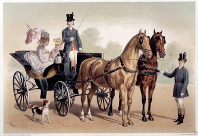 Une voiture à cheval avec des chevaux anglo-normands. Gravure d