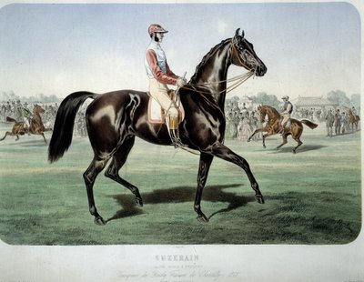 Courses : Suzerain, vainqueur du derby de Chantilly en 1868. Lithographie par Albert Adam (1833-?) Collection privée - Albert Adam