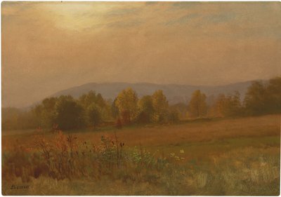 Paysage d