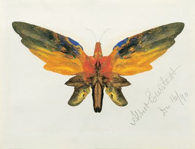 Papillon, 1890 - Albert Bierstadt