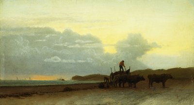 Vue côtière, Newport, 1861 - Albert Bierstadt