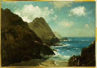 Îles Farallon - Albert Bierstadt