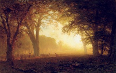 Lumière dorée de Californie - Albert Bierstadt