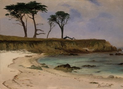 Anse marine - Albert Bierstadt