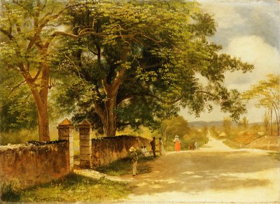 Rue à Nassau, c.1878 - Albert Bierstadt
