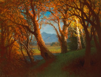 Coucher de soleil dans le territoire du Nebraska - Albert Bierstadt