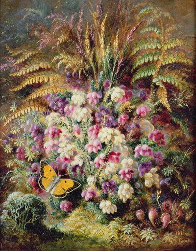 Bruyère cloche, 1877 - Albert Durer Lucas