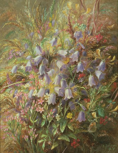 Campanules et autres fleurs et herbes des bois - Albert Durer Lucas