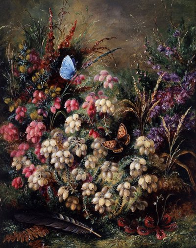 Papillon dans les bruyeres - Albert Durer Lucas