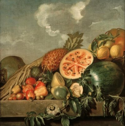 Nature morte avec ananas, melon et autres fruits tropicaux - Albert Eckhout