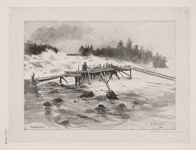 Une cascade. Vallinkoski - Albert Gustaf Aristides Edelfelt