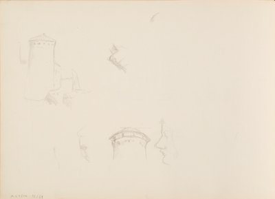 Dessins de plantes, Tour de Savonlinna - Albert Edelfelt