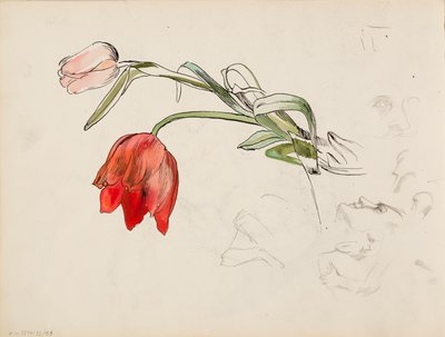 Tulipes, documents de recherche sur les visages - Albert Edelfelt