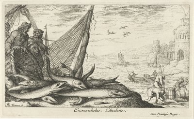 Anchois près d