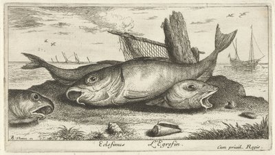 Trois églefins sur la plage (Poissons de mer) - Albert Flamen