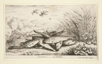 Epelanus, L - Albert Flamen