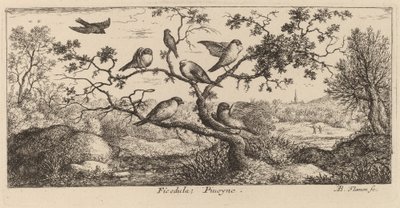 Ficedula, le bouvreuil - Albert Flamen