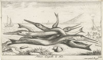 Poissons sur la plage - Albert Flamen