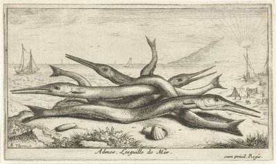 Poissons sur la plage - Albert Flamen