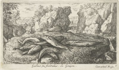 Goujons sur une rive (Poissons et autres animaux marins - eau douce deuxième série) - Albert Flamen
