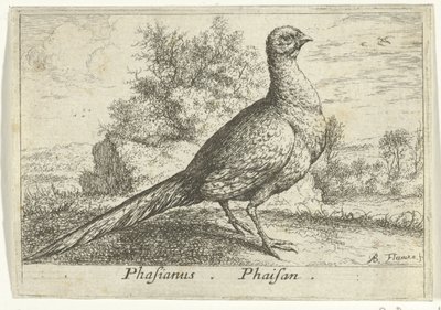 Paysage avec faisan - Albert Flamen
