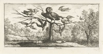 Paysage avec chouette entre autres oiseaux - Albert Flamen