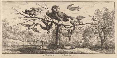 Monedula, la chouette - Albert Flamen