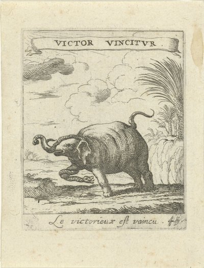 Éléphant et serpent - Albert Flamen