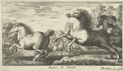 Chevaux (série Diverses espèces animales) - Albert Flamen