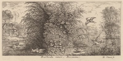 Rusticula minor, la bécassine - Albert Flamen