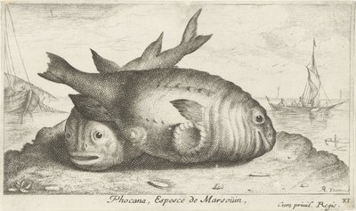 Deux marsouins sur la plage
Poissons de mer (série) - Albert Flamen
