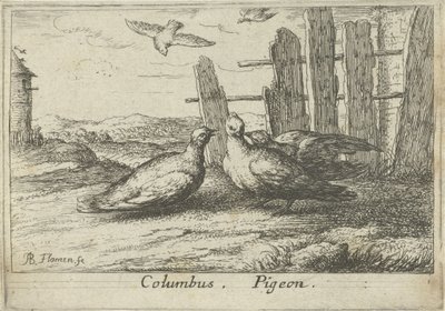 Deux pigeons près d