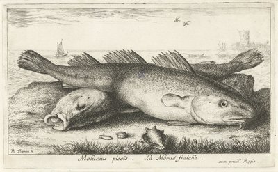 Deux morues sur la plage (Poissons de mer) - Albert Flamen