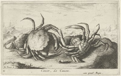 Deux crabes sur la plage (Poissons et autres animaux marins - première série) - Albert Flamen