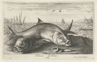 Deux aloses sur la plage - Albert Flamen