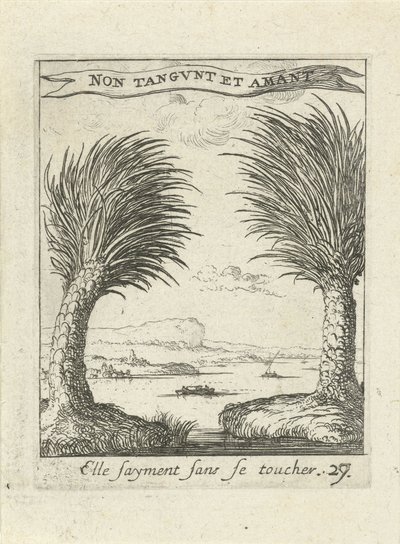 Deux palmiers, séparés - Albert Flamen