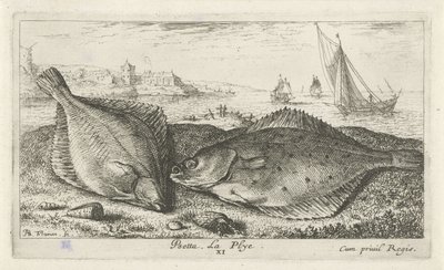 Deux poissons plats sur la plage - Albert Flamen