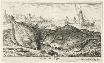 Deux poissons plats sur la plage (Poissons de mer) - Albert Flamen
