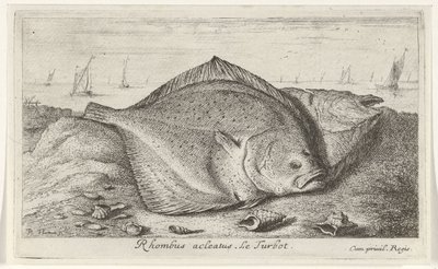 Deux turbots sur la plage - Albert Flamen
