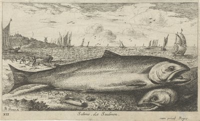 Deux saumons sur la plage (Vissen en andere zeedieren - zoutwater eerste reeks, Diverses Especes de Poissons de mer) - Albert Flamen