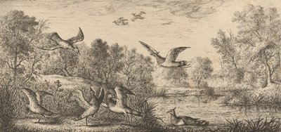 Le Vanneau : Livre d