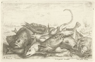 Pêche avec crabe (Verschillende vissoorten, Diverses Especes De Poissons tant de Mer, que d