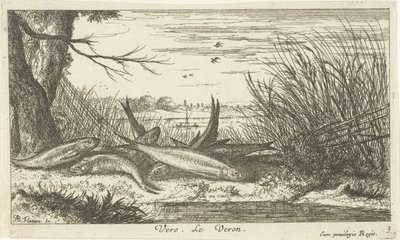 Poissons sur une rive de rivière - Albert Flamen